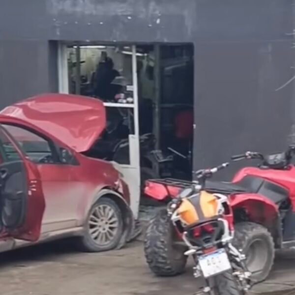 🐕🚗 QUIZO SALVAR A UNA NENA DE UNA…