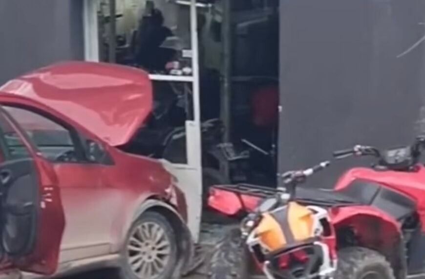 🐕🚗 QUIZO SALVAR A UNA NENA DE UNA JAURÍA, DEJÓ EL AUTO EN MARCHA Y TERMINÓ CHOCANDO UN LOCAL DE MOTOS