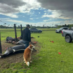 ⚡️ UN RAYO MATÓ A CUATRO YEGUAS DE POLO EN EL JOCKEY CLUB