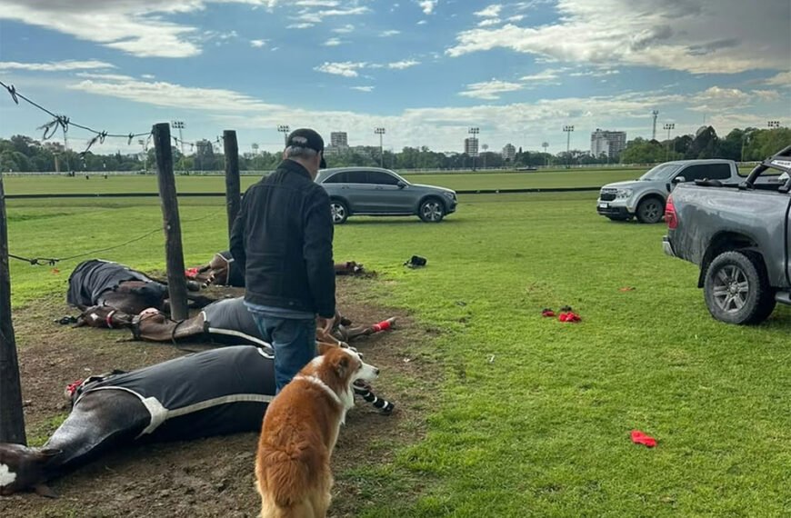 ⚡️ UN RAYO MATÓ A CUATRO YEGUAS DE…